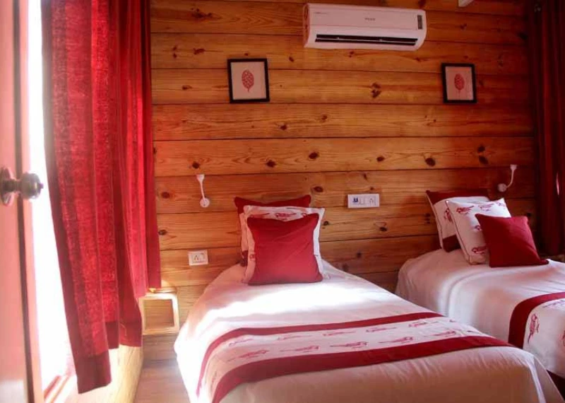 Sal Hardwood: Nature’s Answer to Strength, Durability, and Timeless Craftsmanship