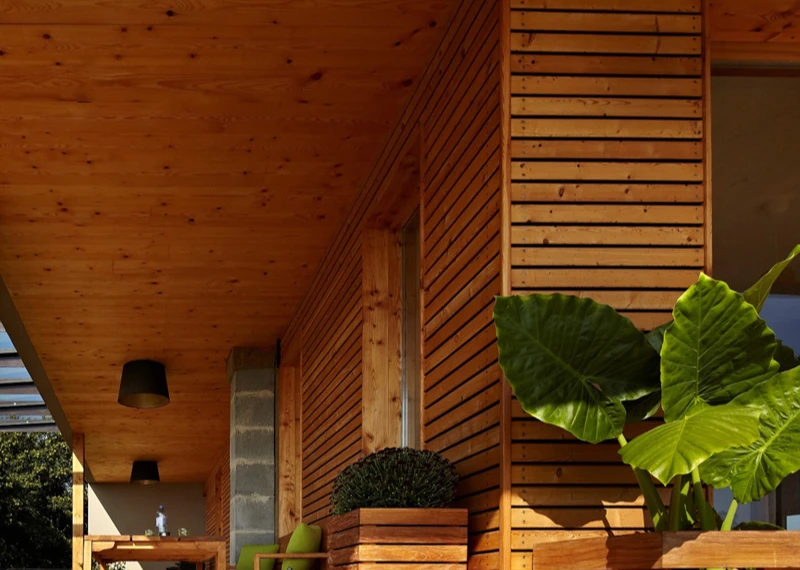 Thermo Pine: A Sustainable Timber Built for Modern Outdoor Living